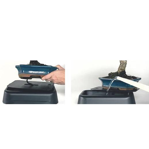 Sistema di autoirrigazione per bonsai 25 cm Hidrobonsai