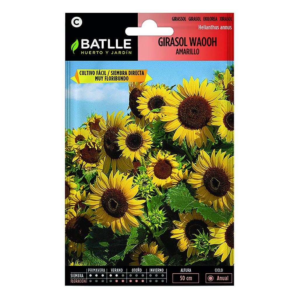 Sonnenblumenkerne Waooh gelb Batlle