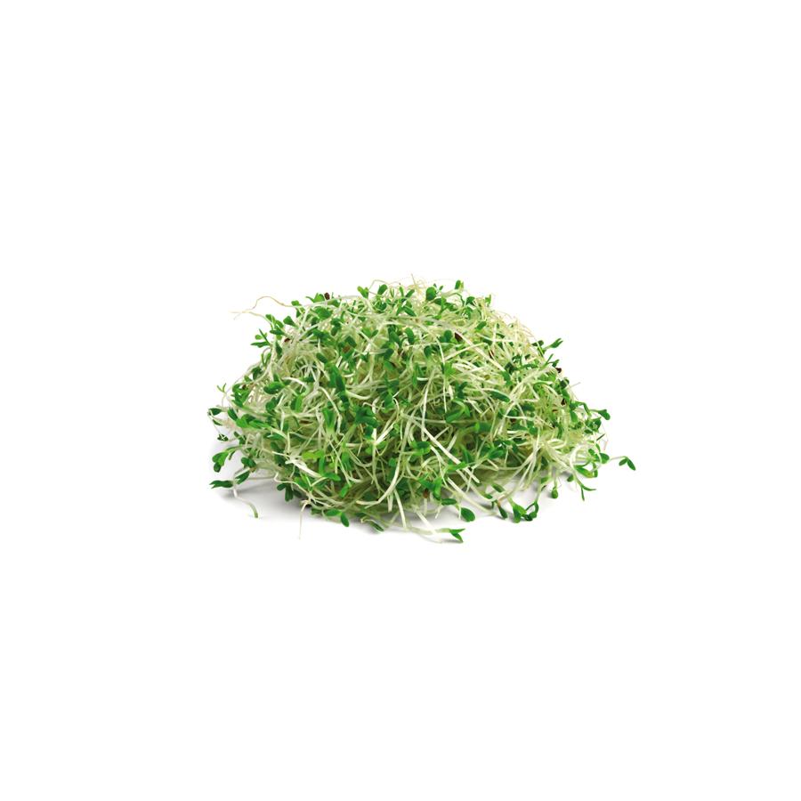 Alfalfa 400 mg 200 compresse El granero