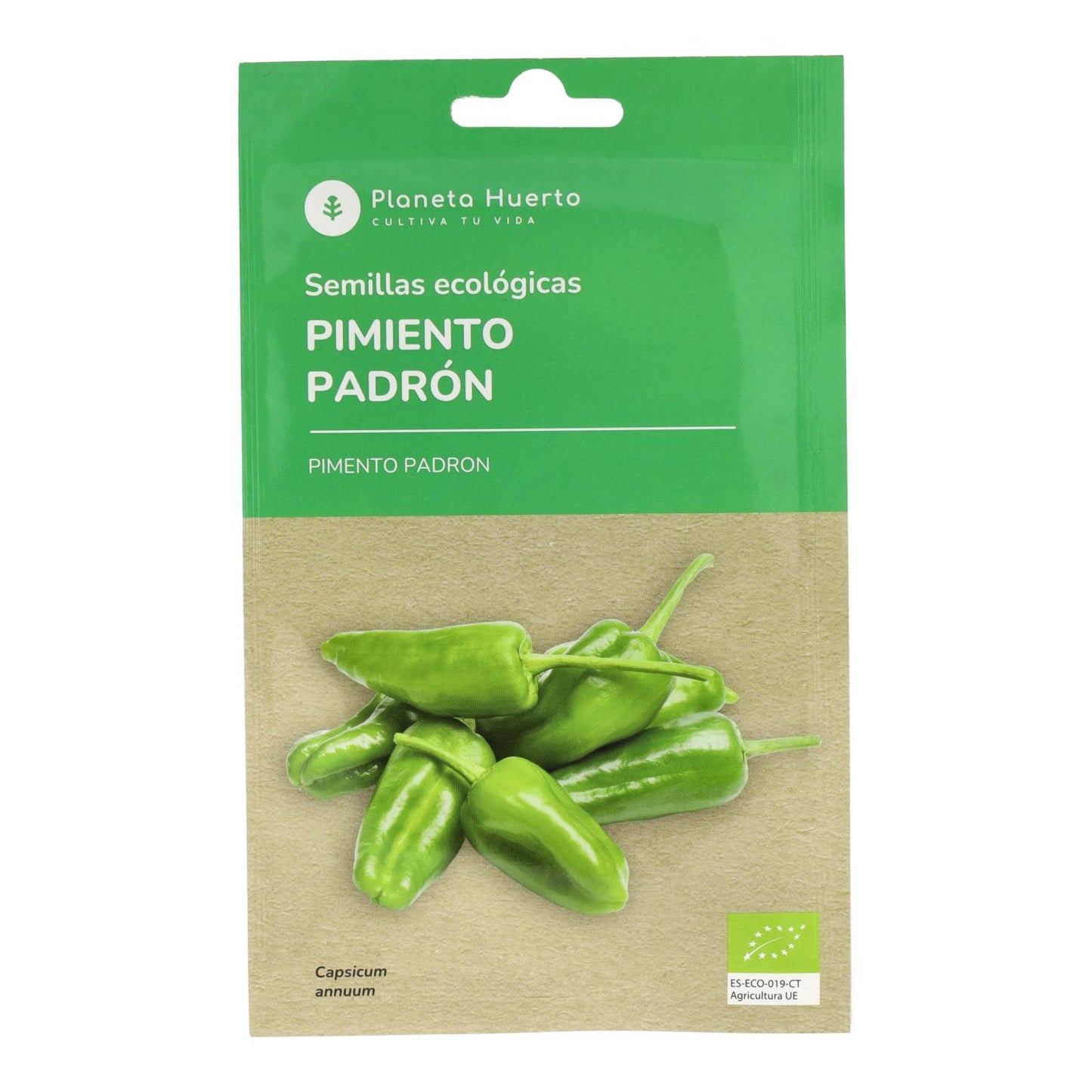 Bio-Samen von Padron-Pfeffer Planeta Huerto