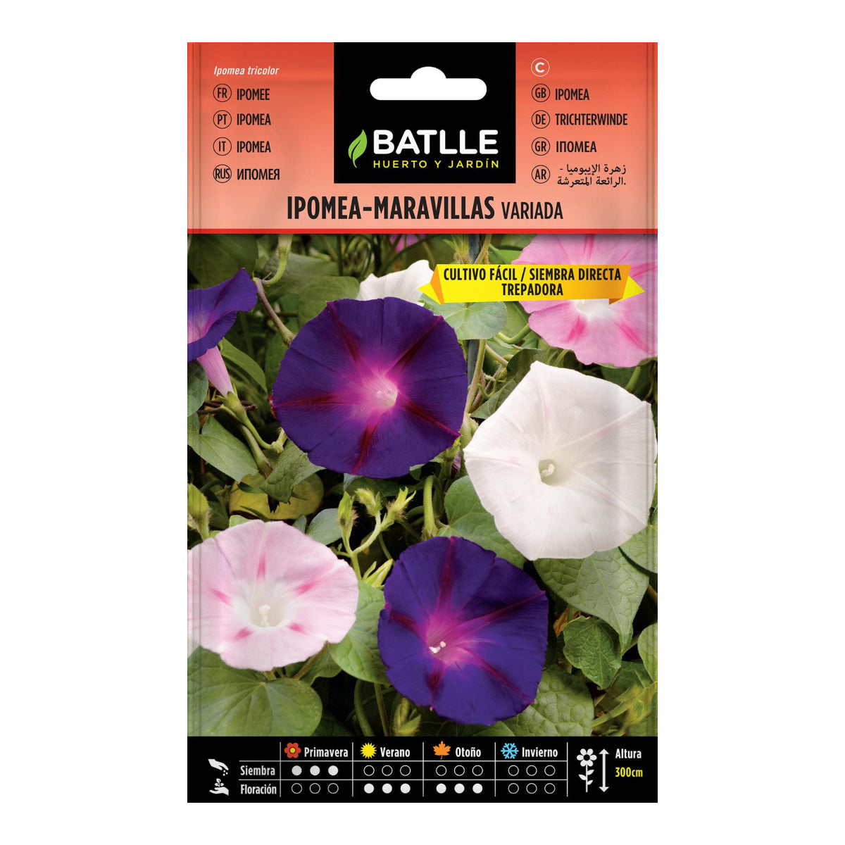 Nasiona Ipomea różne Batlle