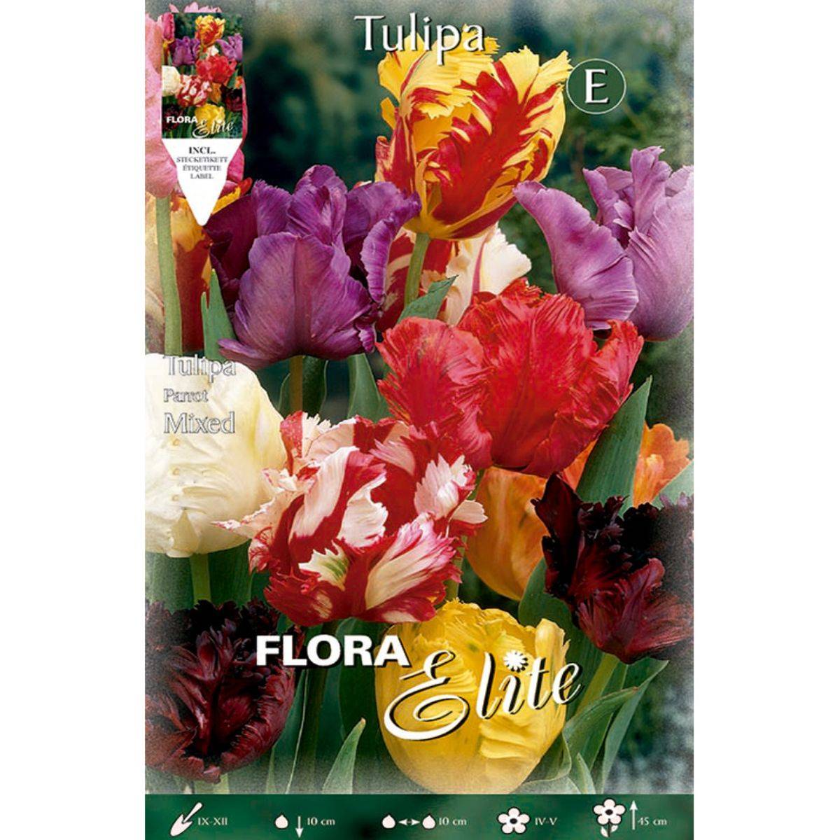 Tulpenzwiebeln Papagayo Mischung 7 Stück