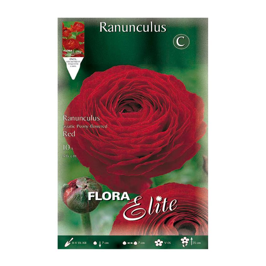 Bulbos Ranúnculo rojo 10 uds