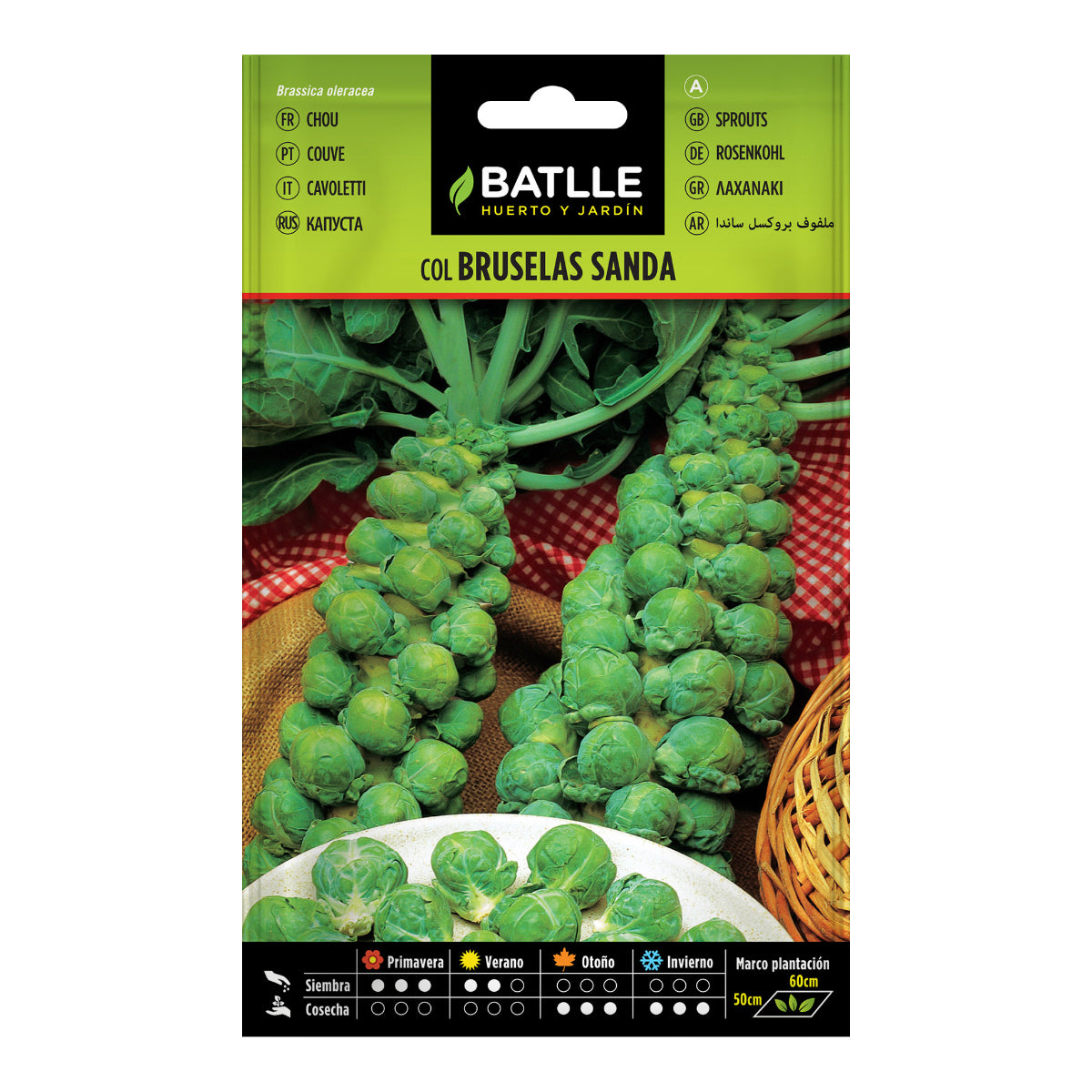 Brysselkålfrön Sanda Batlle