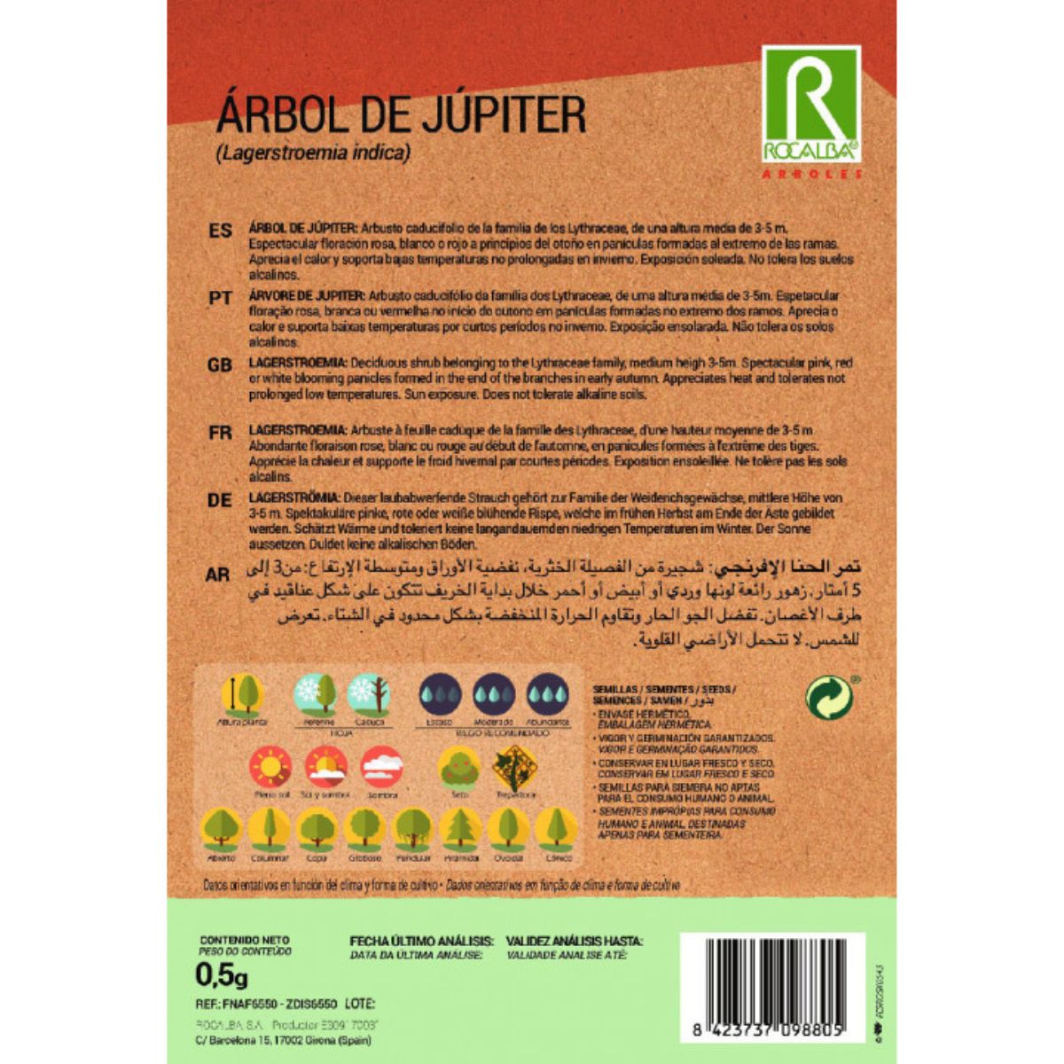 Graines d'arbre de Jupiter Lagerstroemia indica