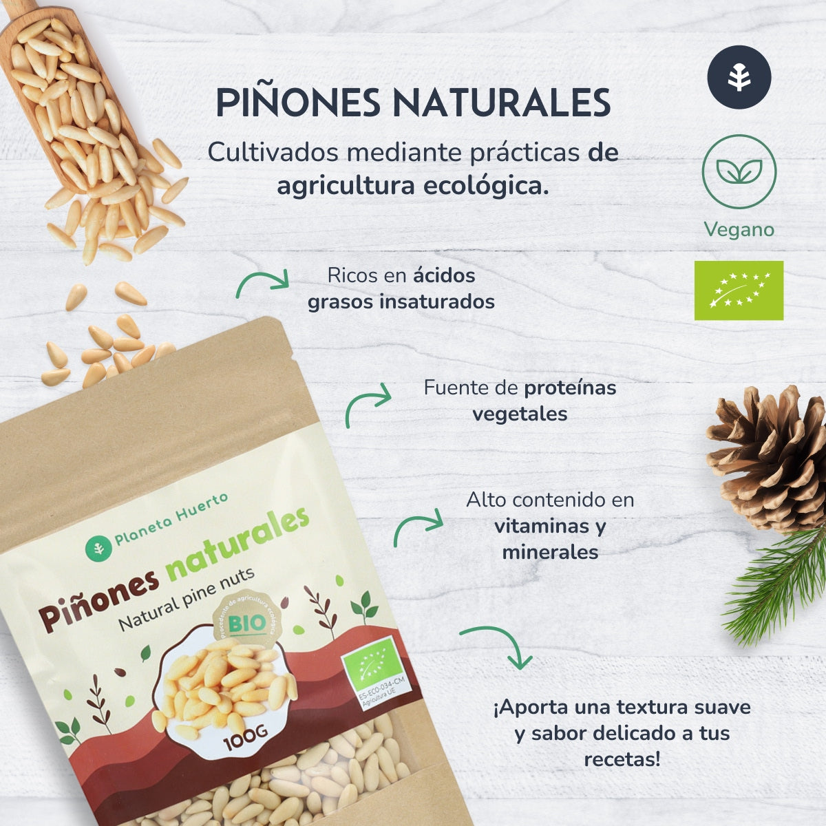 Pignons de pin ECO Planeta Huerto 100gr
