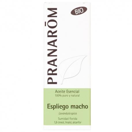 Ätherisches Öl Lavendel BIO Pranarôm 10 ml