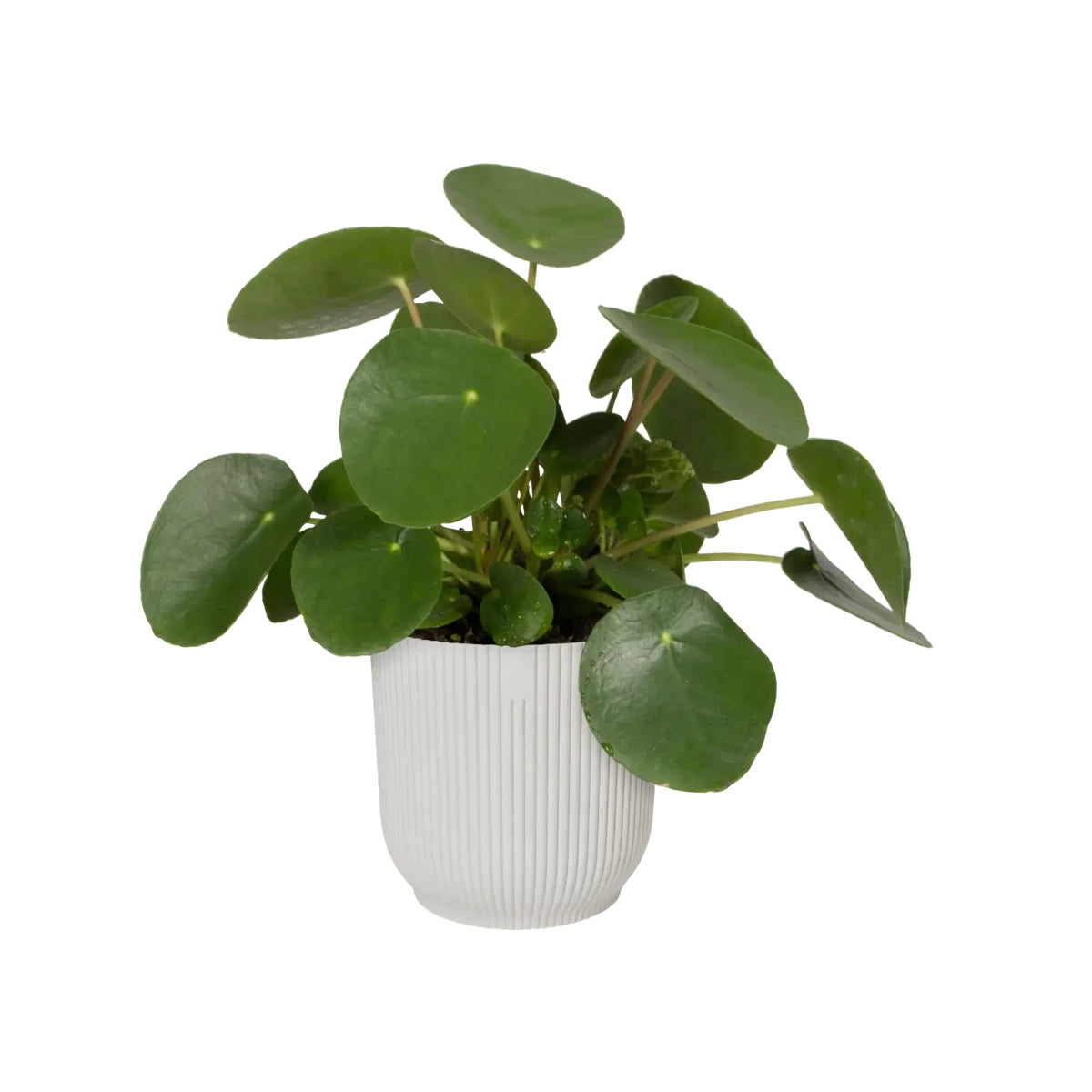 Bloempot Vibes Fold Round Silky White Elho 22 cm