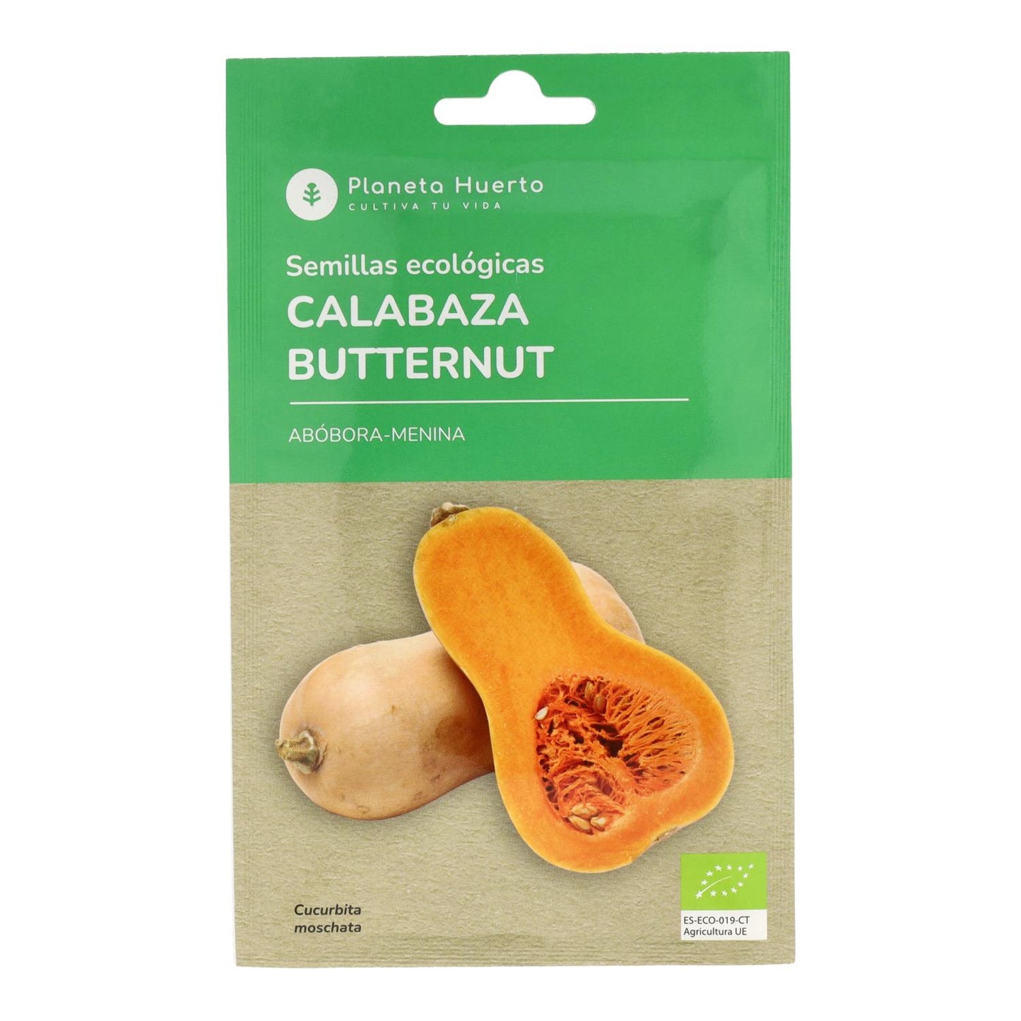 Bio-Butternusskürbis-Samen Planeta Huerto