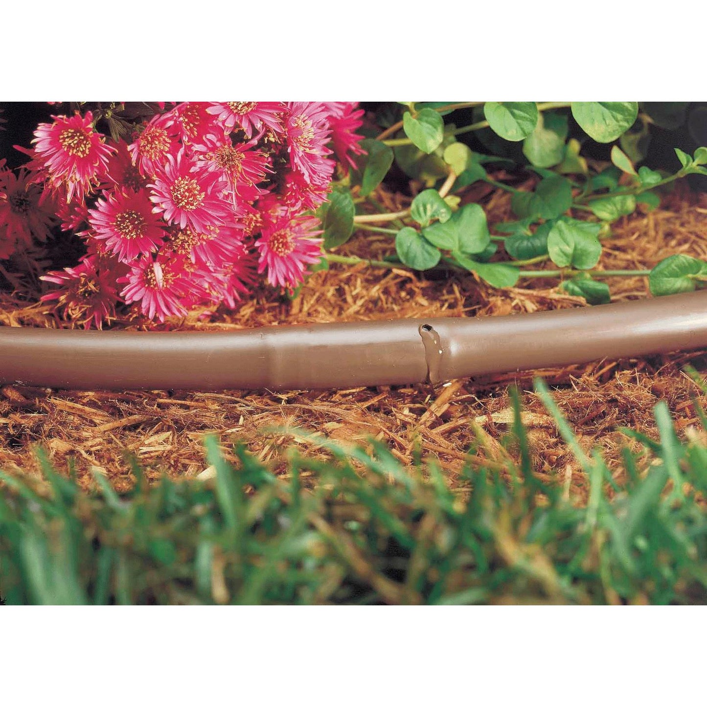 Tuyau marron avec goutteurs intégrés 16 mm 25 m