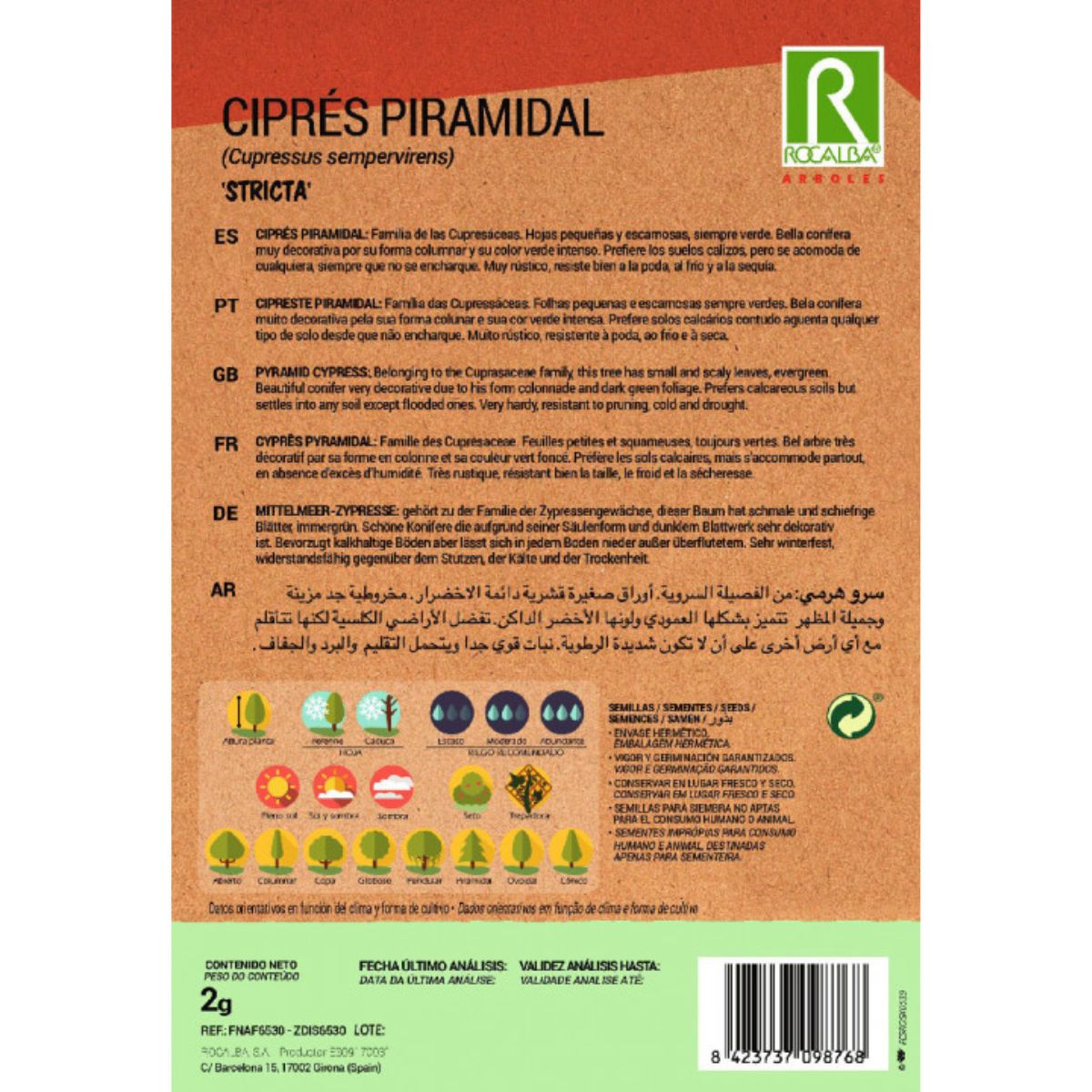 Pyramidalis cypress seeds Evergreen cypress trees