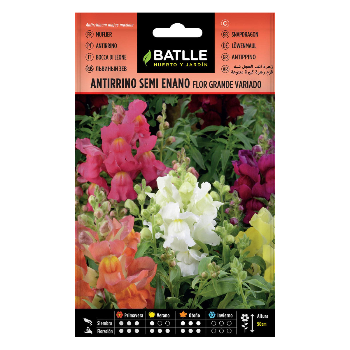 Graines de muflier semi-nain Batlle