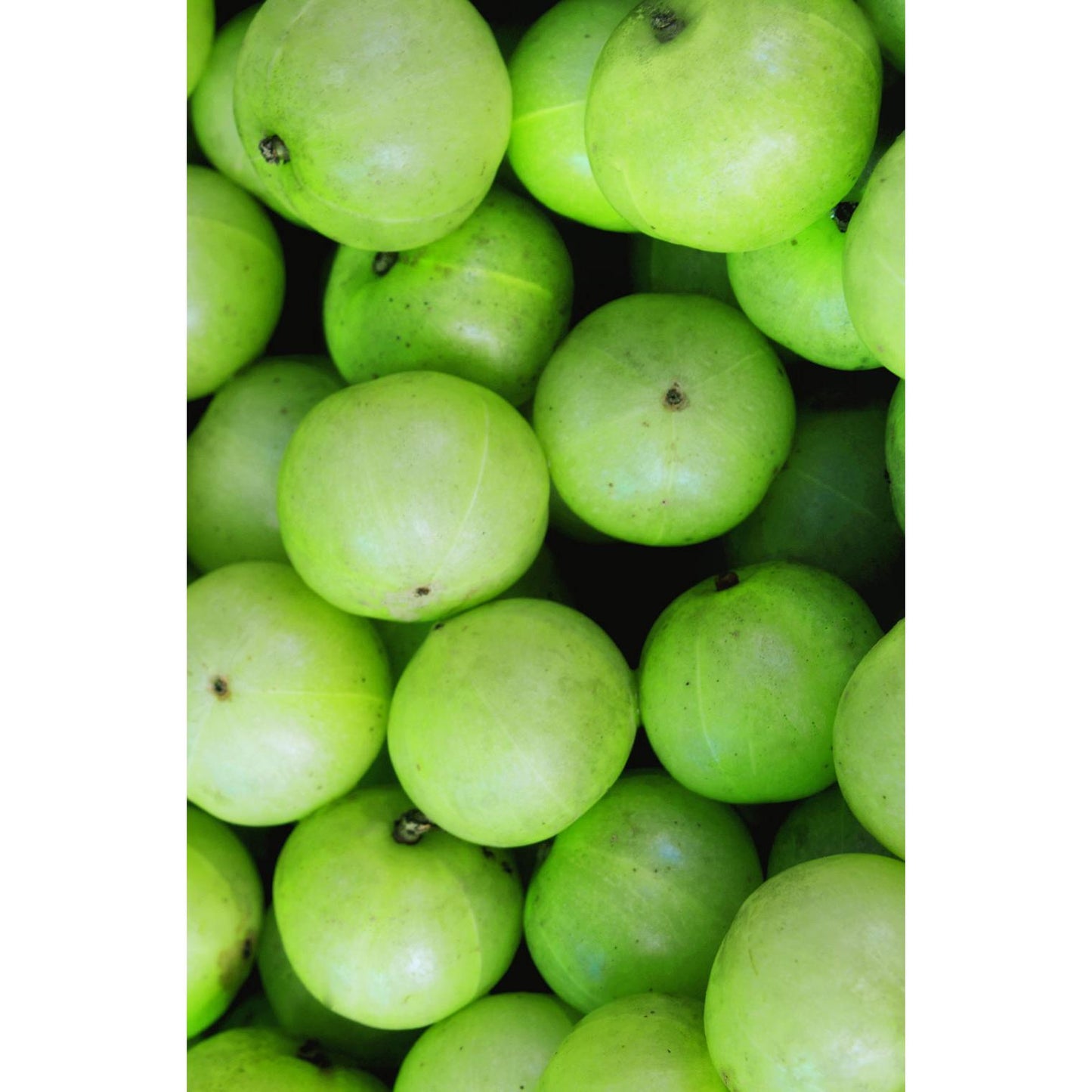 Khadi Amla Volumen Shampoo 200 ml