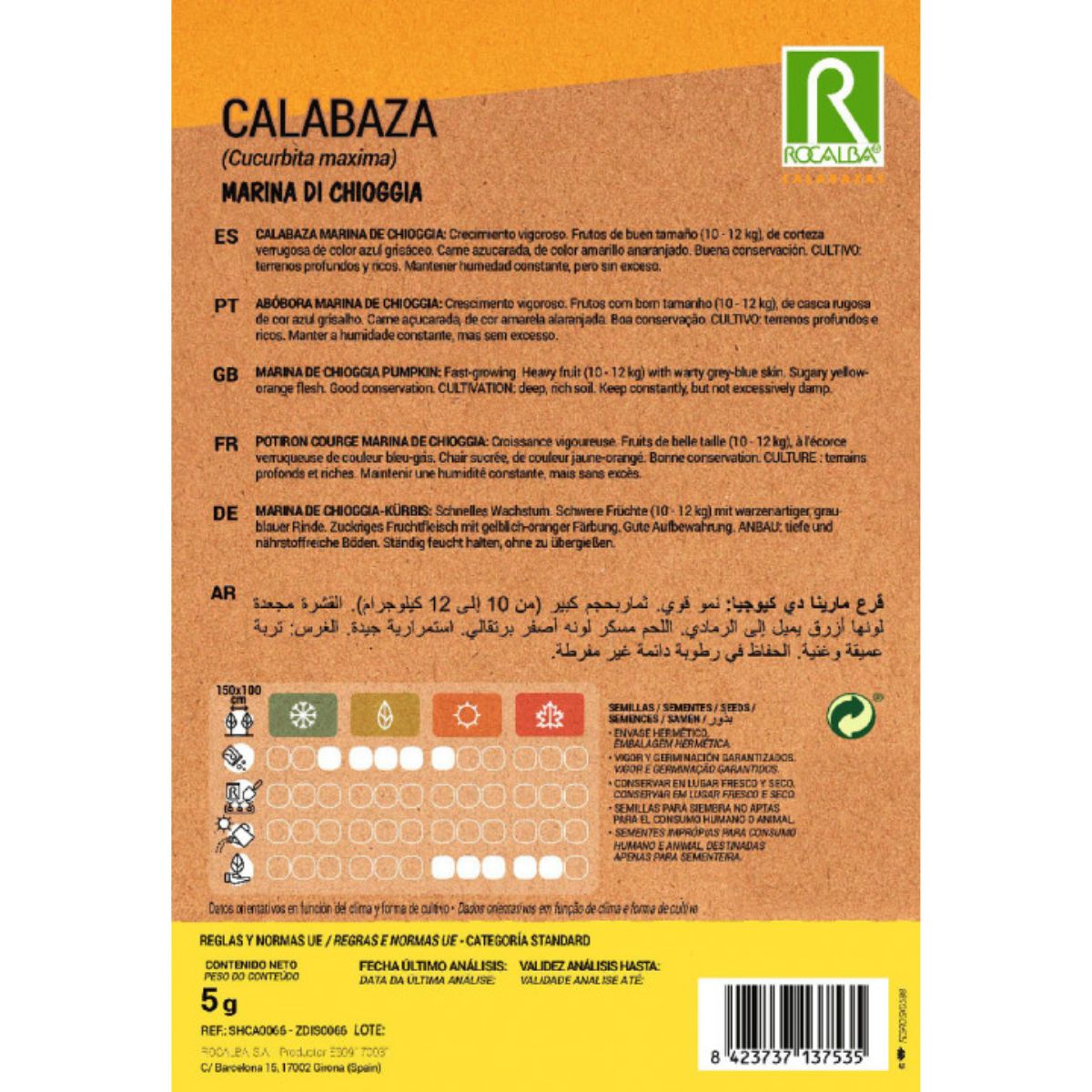 Kürbissamen Marina di Chioggia