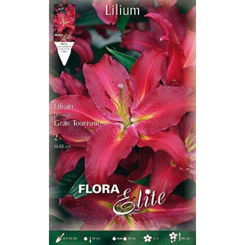 Lilium Oriental röd lök 2 st