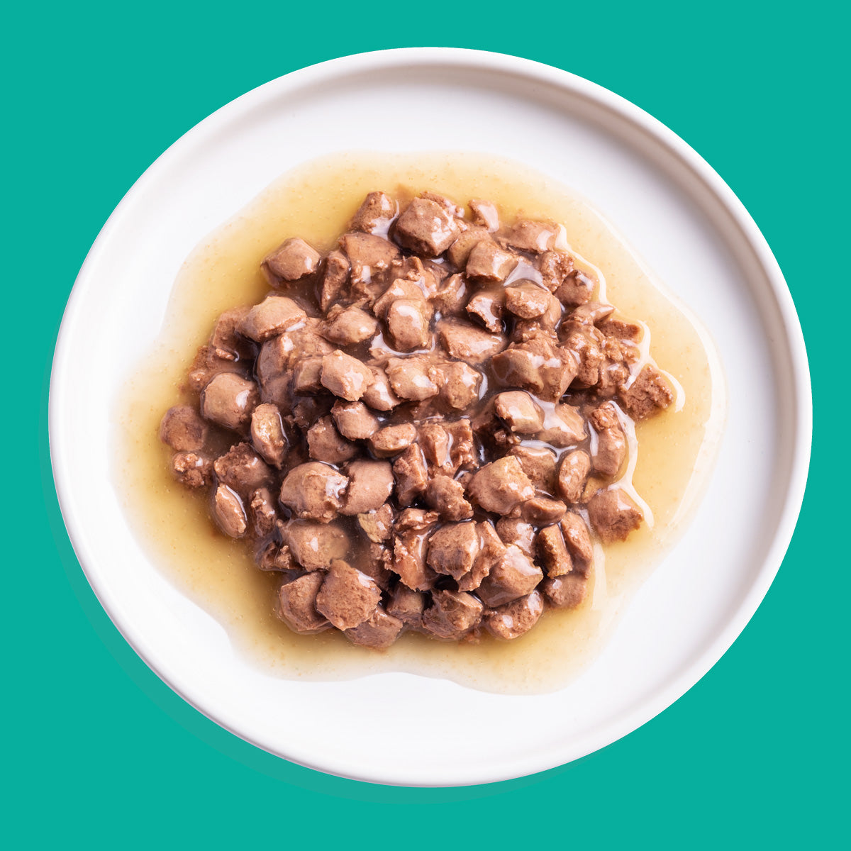 Nourriture humide pour chats en sauce Morceaux de saumon et poulet Edgard & Cooper 85 g