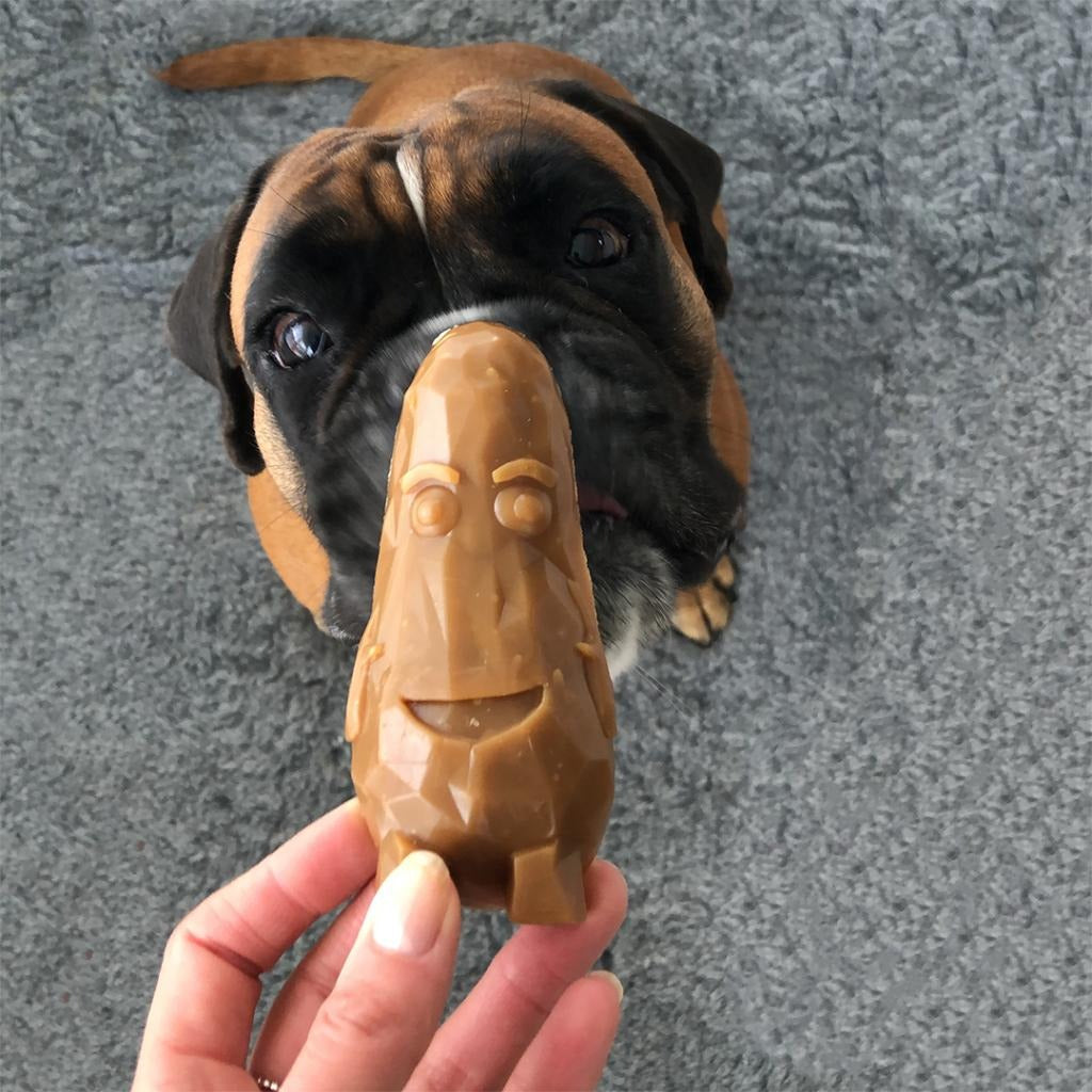 Garden Bites Veggie Friends Hundesnack L 3 Stück Duvo