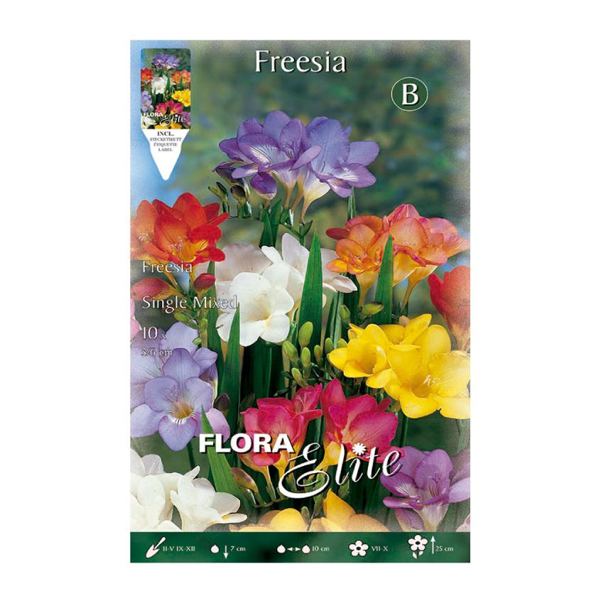 Bulbos Freesia simple mezcla 10 uds