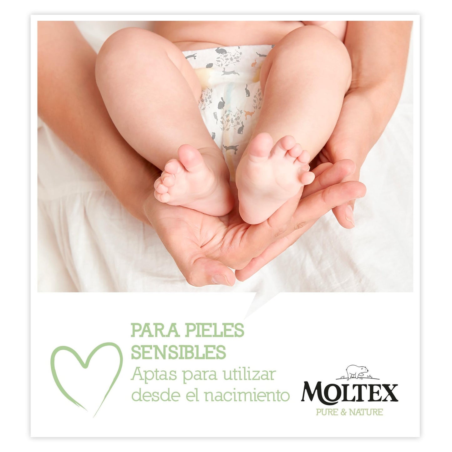Moltex Pure & Nature Feuchttücher 60 Stück