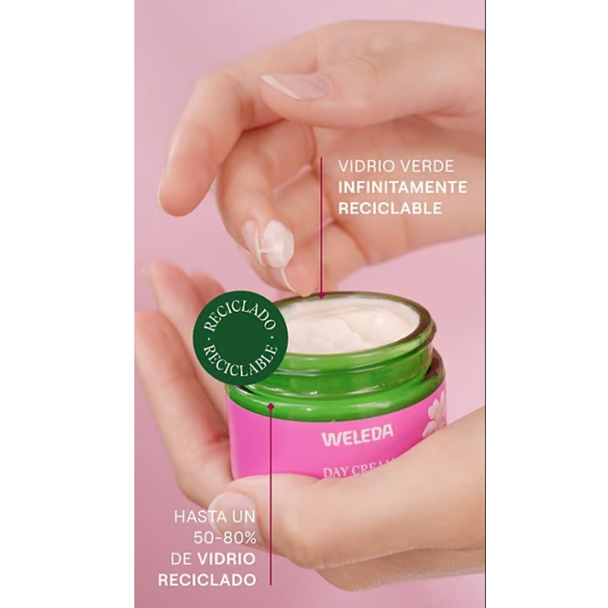 Glättende Nachtcreme mit Hagebutte und weißem Tee, Weleda, 40 ml