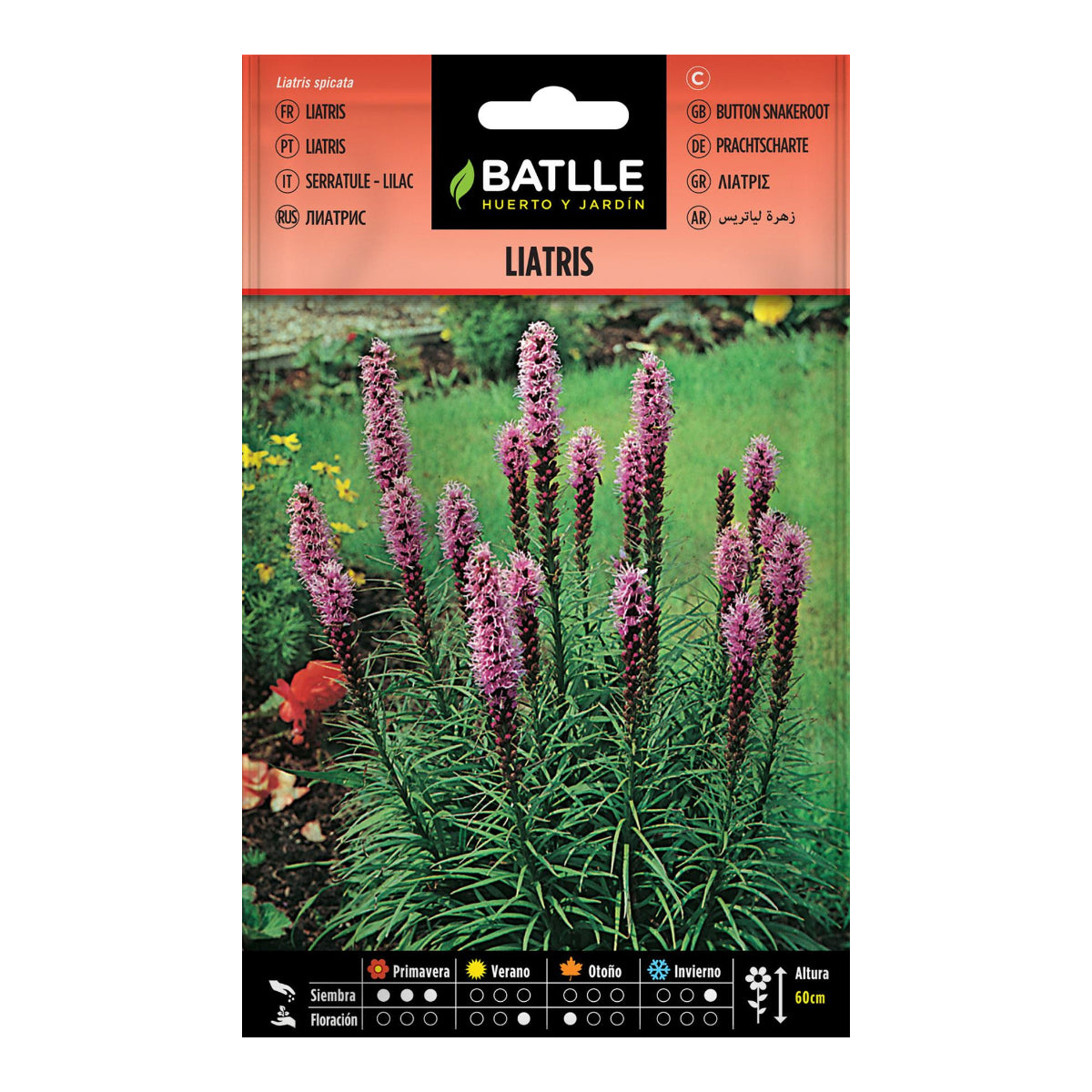 Nasiona Liatris Batlle