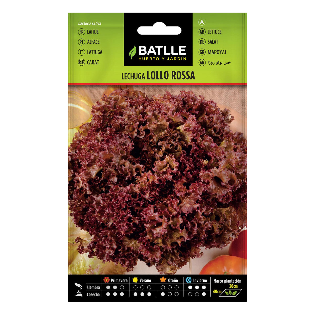 Graines de laitue Lollo rosa Batlle