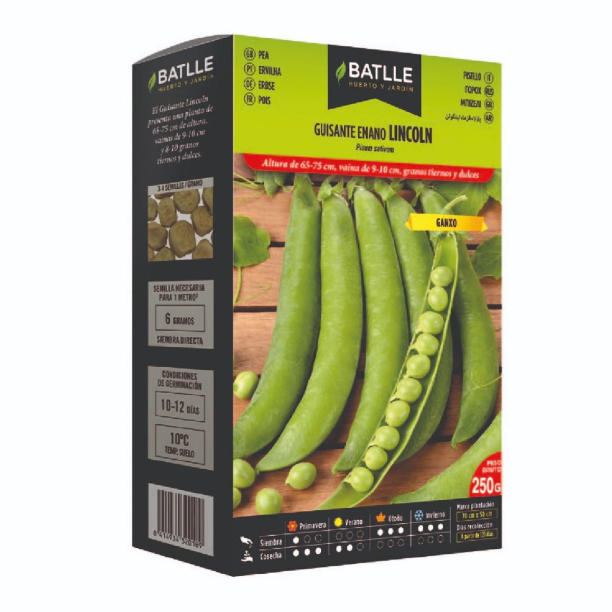 Lincoln dwarf pea seeds 250 g Batlle