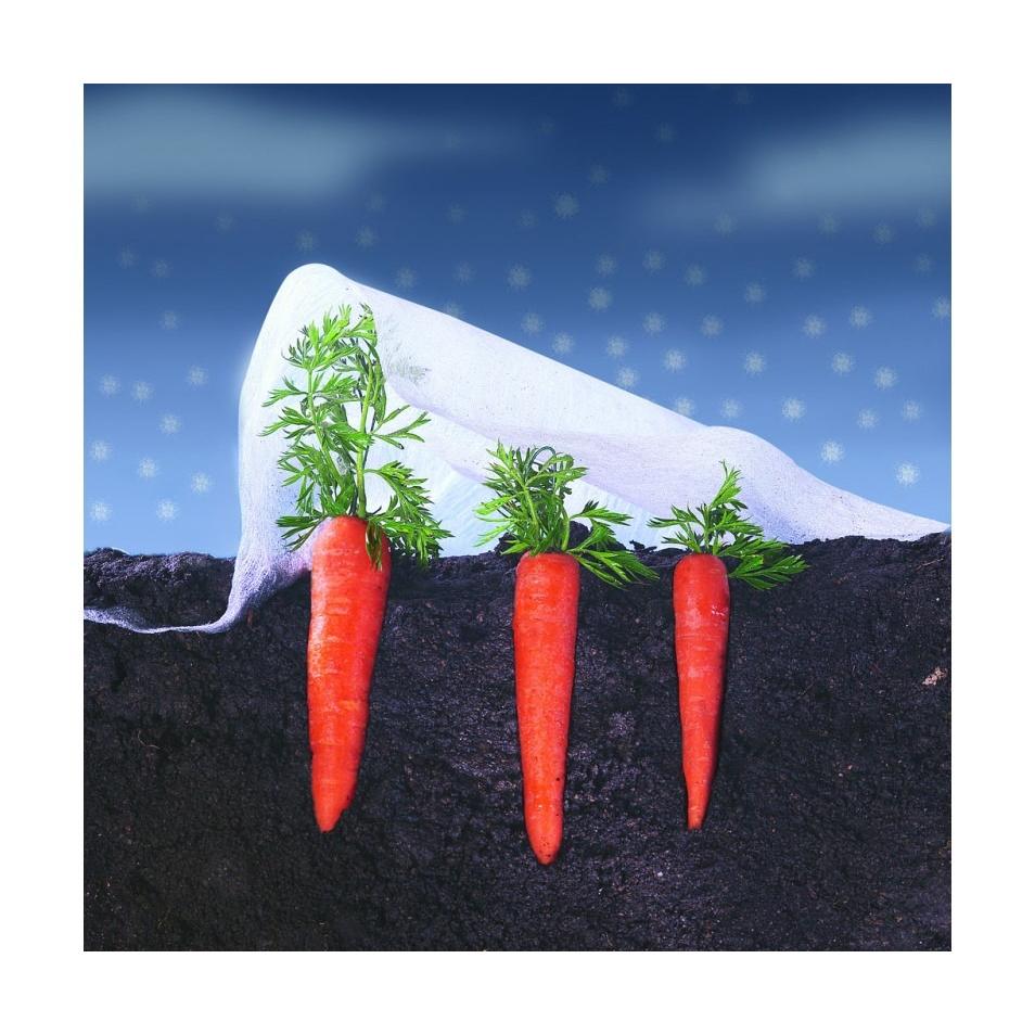 Climatex Nortene Growth Veil 2 x 5 m