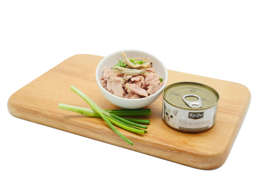 Kit Cat Dosenaufstecker – Thunfisch & Sardellen 80 g Nassfutter für Katzen