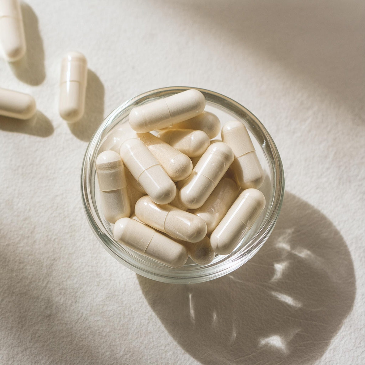 Ashwagandha Bio Planet Orchard 150 gélules