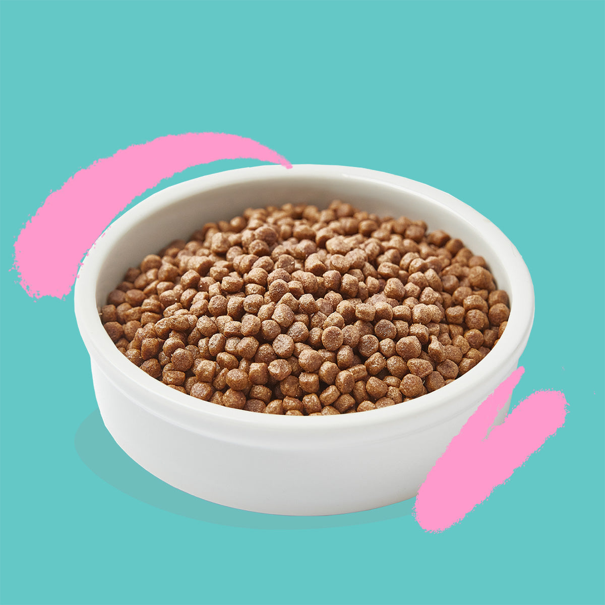 Mangime per gatti Kitten Anatra e Pollo freschi Edgard & Cooper 2 Kg