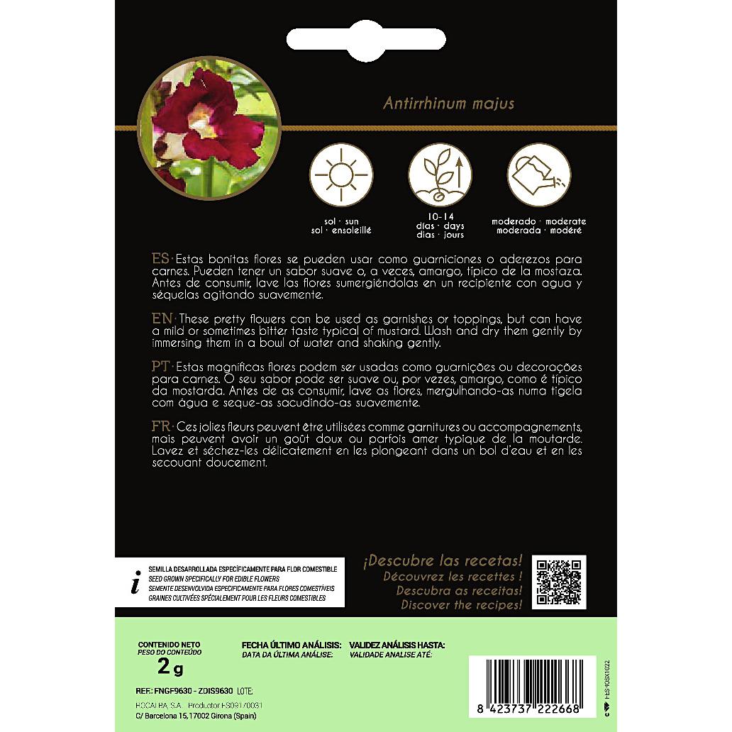 Nasiona jadalnych kwiatów Antirrino Boca De Dragón Rocalba