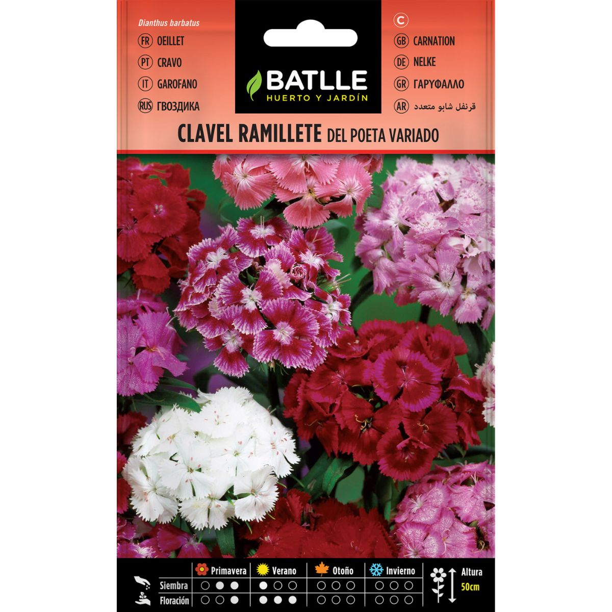 Poet's bouquet assorted carnation seeds Batlle