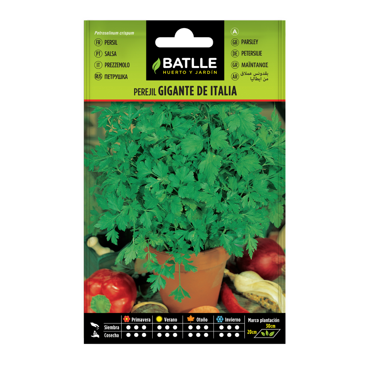 Graines de persil géant d'Italie Batlle