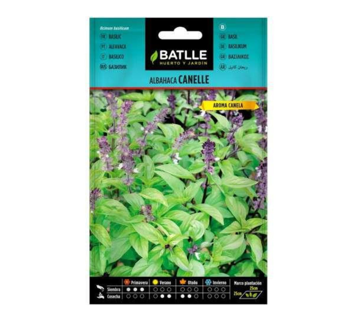 Cannelle Batlle basil seeds
