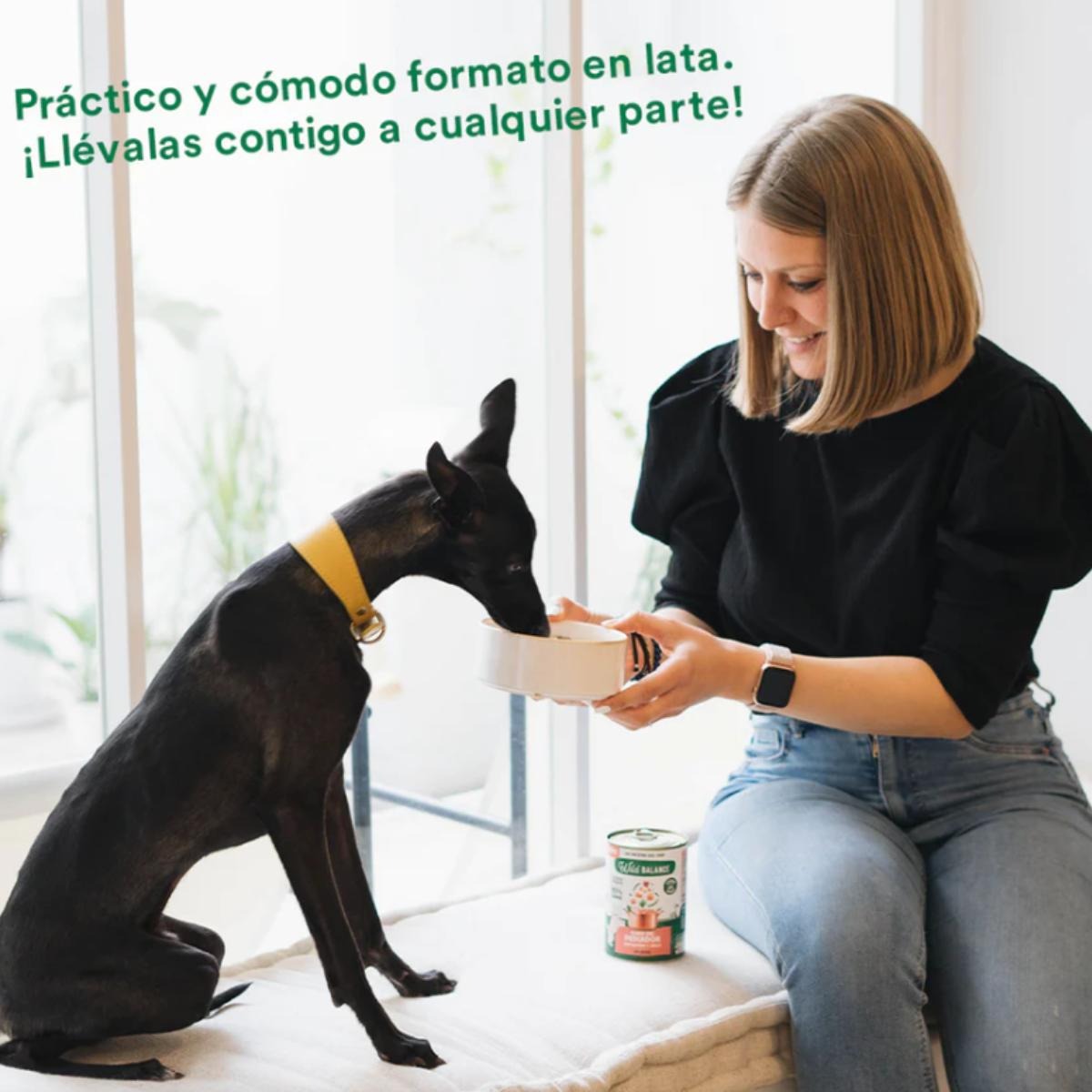 Pack of 6 Wild Balance salmon and pork fisherman's stew for dogs 400 g