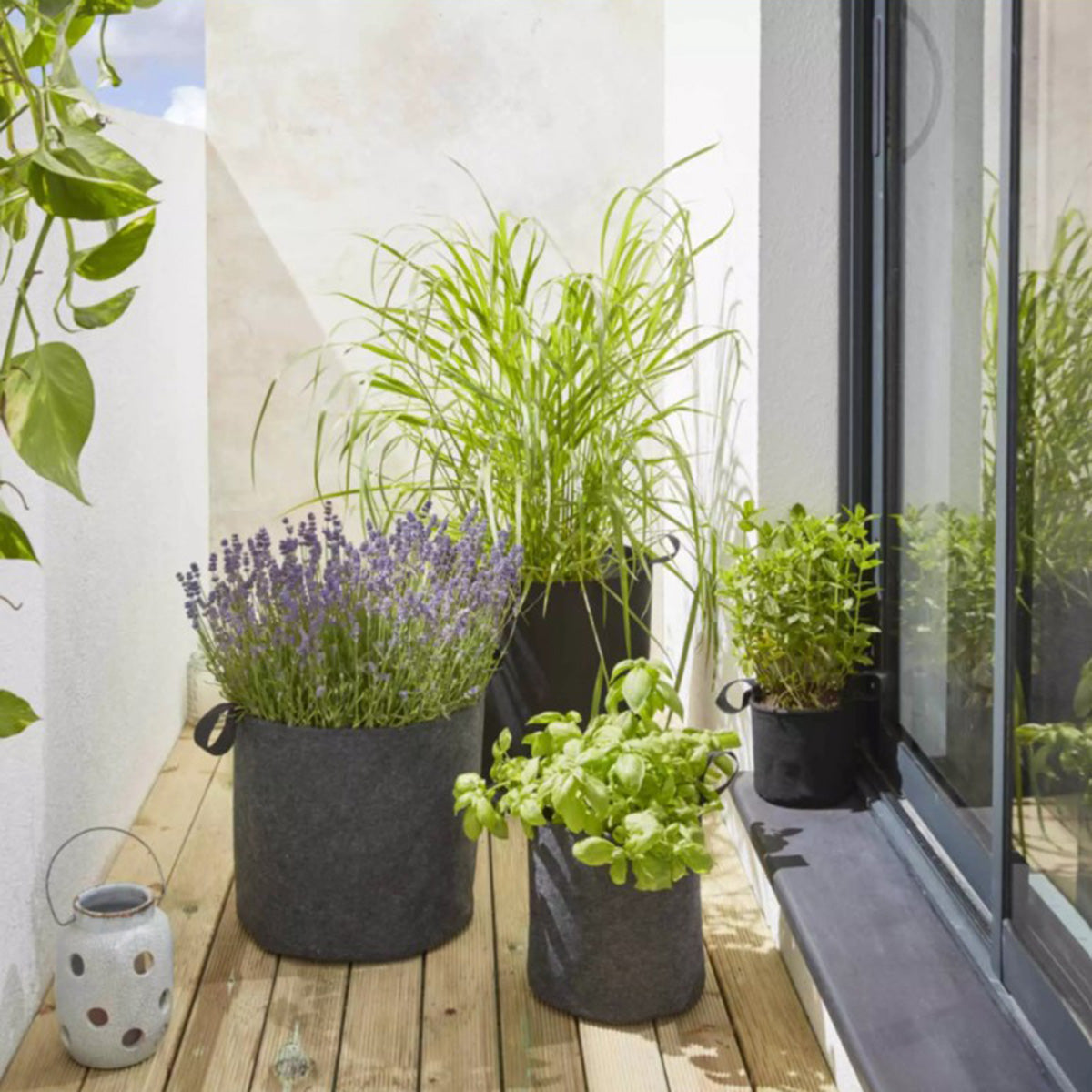 Bag4Plant Pflanztasche aus grauem Geotextilfilz ø15 cm 2,7 l