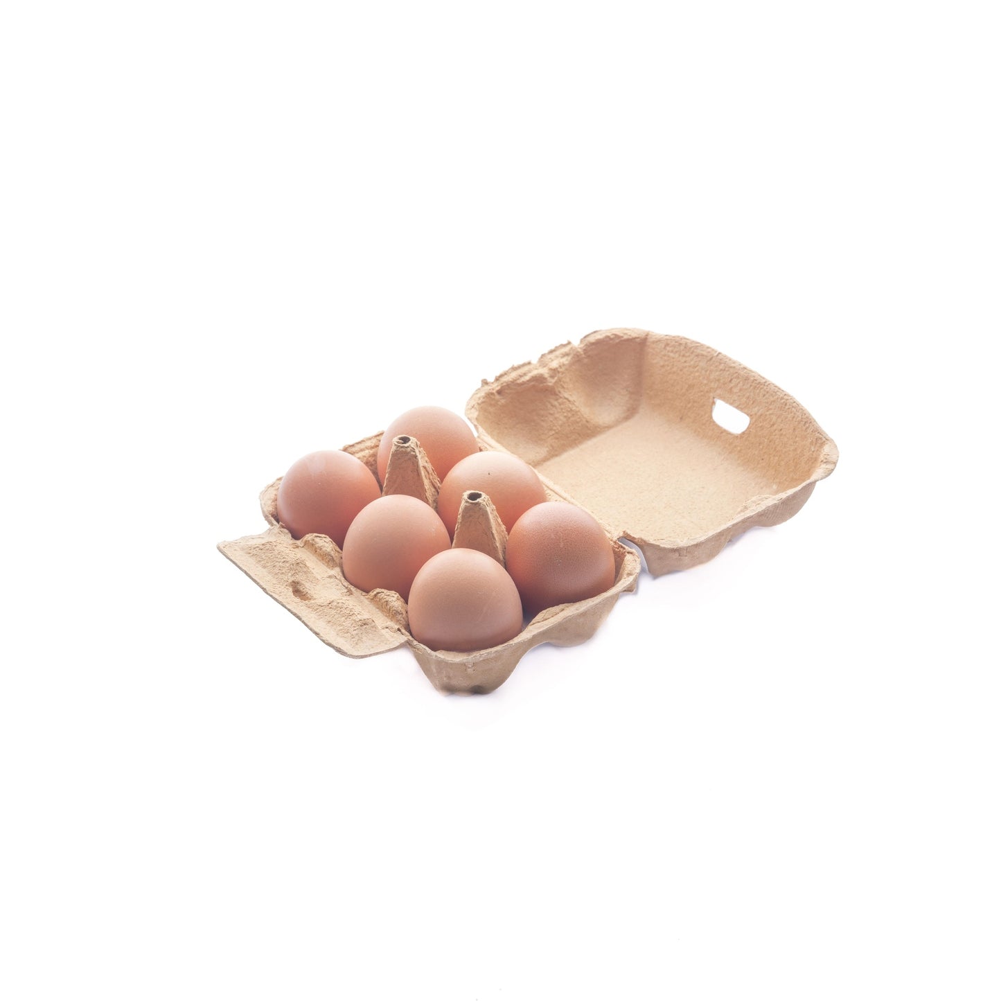 6x Planet Garden ECO Eggs