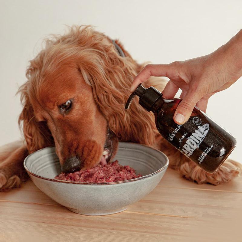 Huile naturelle de sardine Wild Balance 250 ml