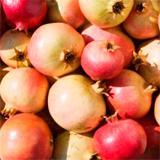 Kroppsolja Granada WELEDA 100 ml