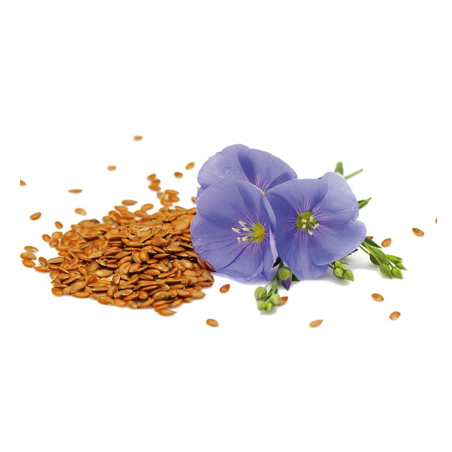 Graines de Lin Bio El Granero 200g