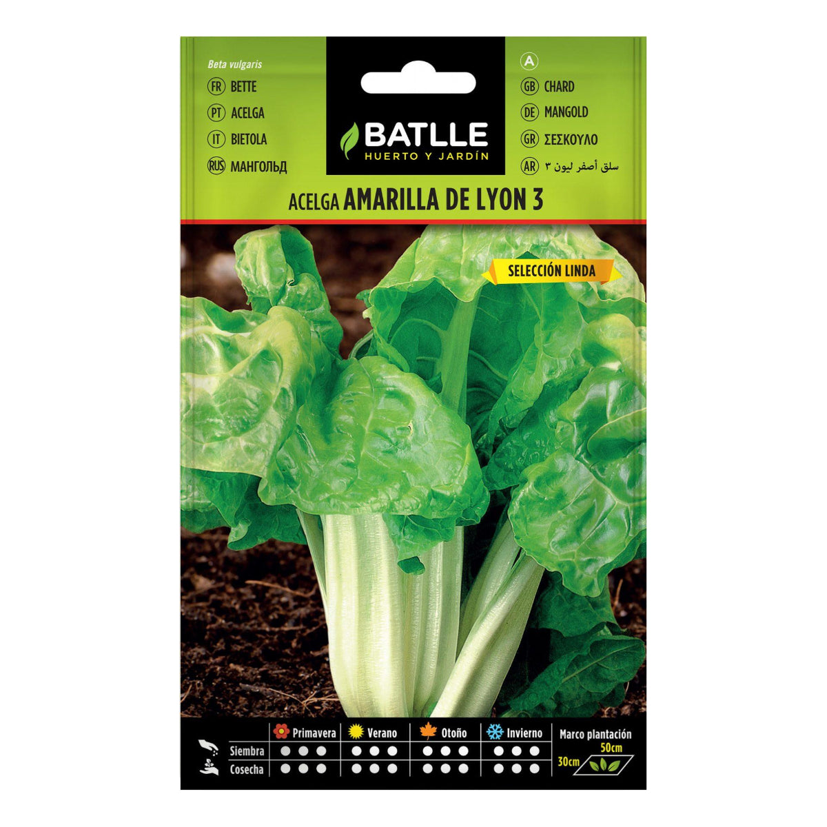 Gelbe Mangold-Samen aus Lyon, sel. Linda 25 g Batlle