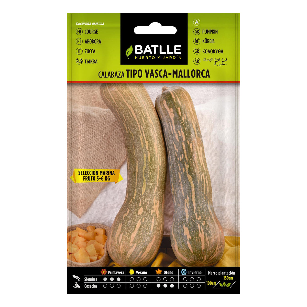 Kürbissamen der Sorte Vasca-Mallorca, sel. Marina Batlle