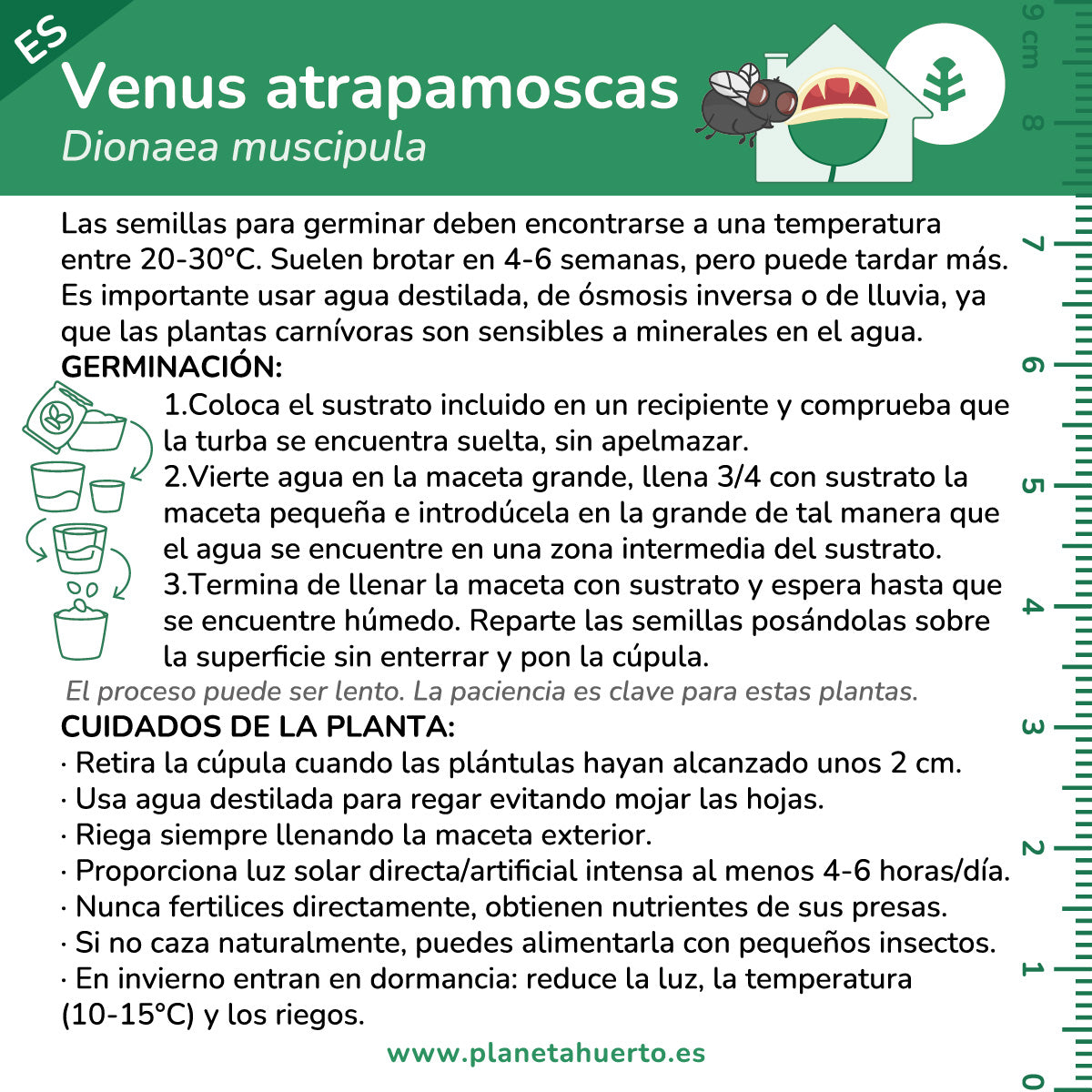 Selbstanbausatz Venusfliegenfalle fleischfressende Pflanze Gartenplanet