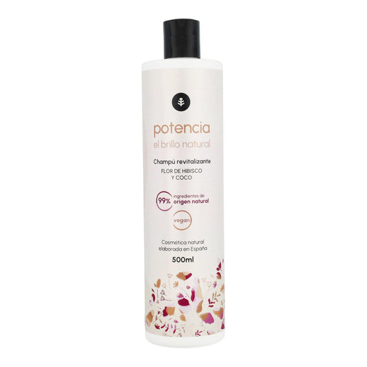 Shampoing booster de brillance à la fleur d'hibiscus et à la noix de coco Planeta Huerto 500 ml