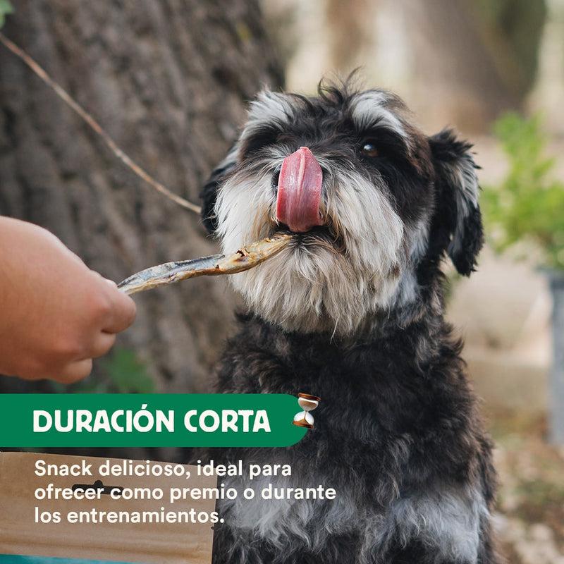 Snack naturel Anchois déshydratés Wild Balance 40 g