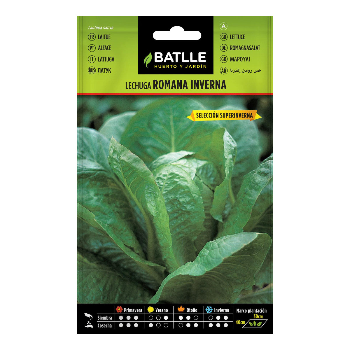 Salatsamen Inverna sel. Super Inverna Batlle