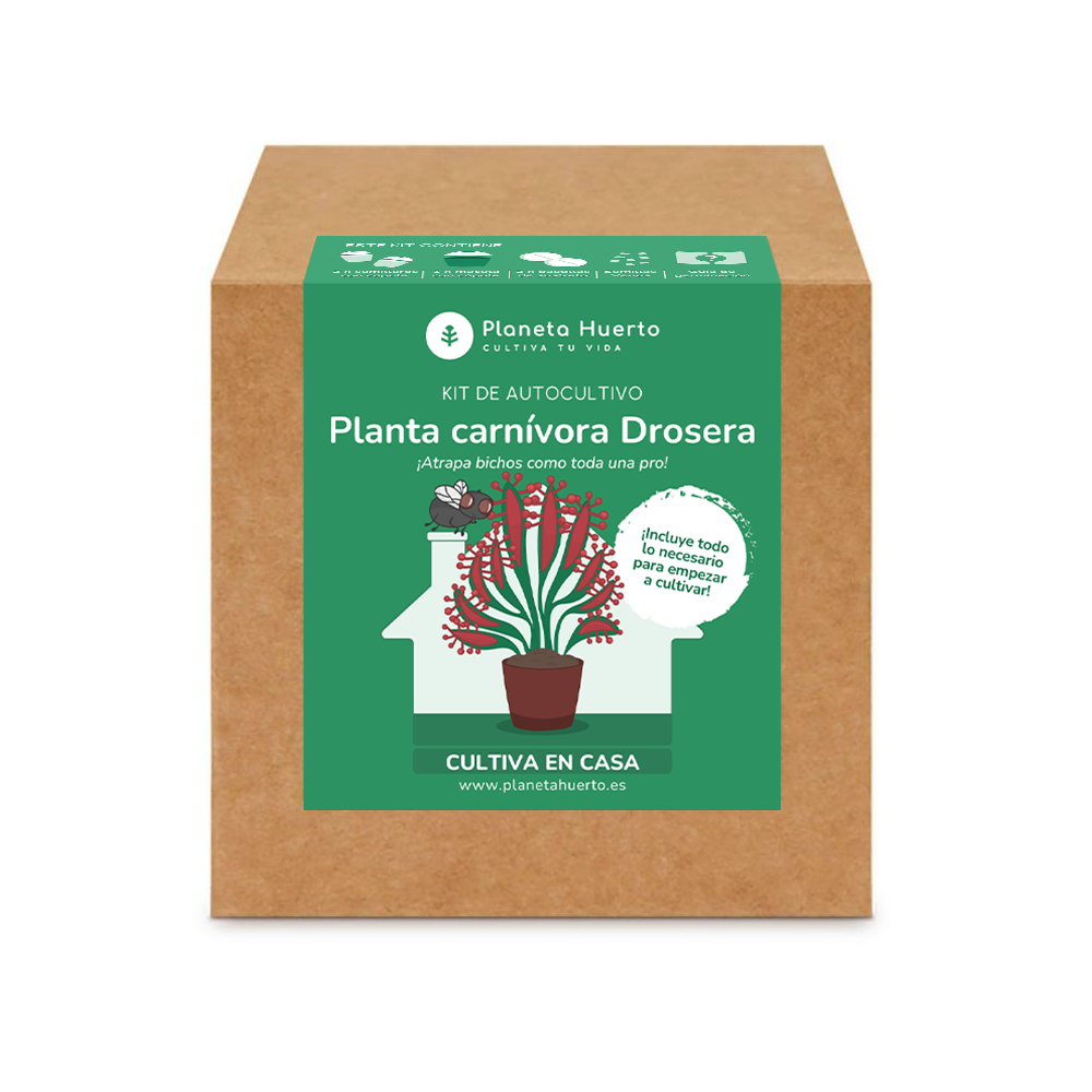 Kit d'autoculture Plante carnivore Drosera Drosera Planeta Huerto