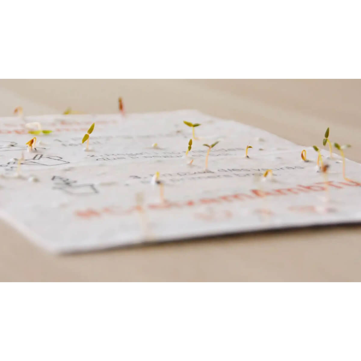 Bepflanzbarer Kalender 2025 Planet Orchard Zeit in Natur verwandeln