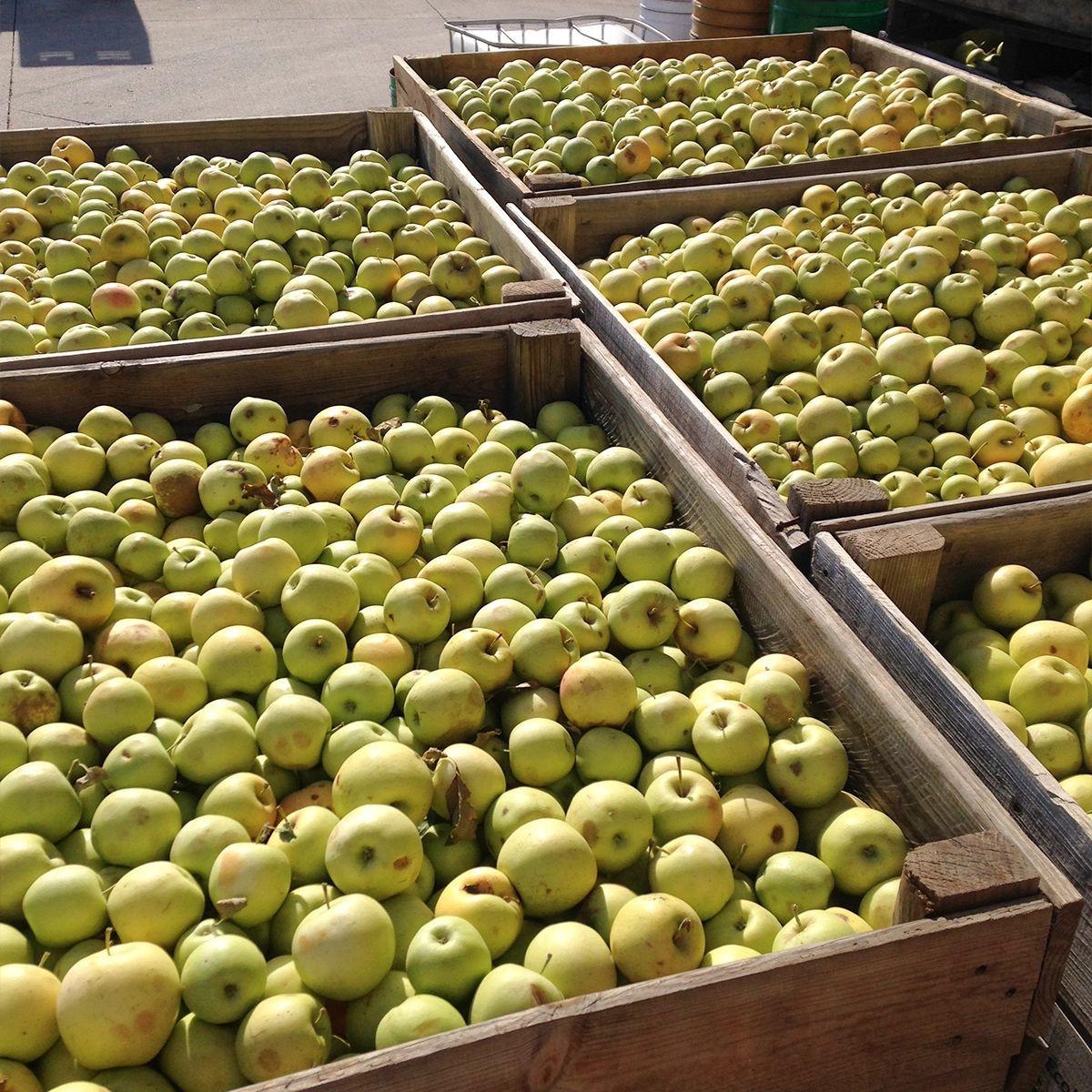 Élaboré à partir de poires et de pommes biologiques sans sucres ajoutés Ékolo 700 g